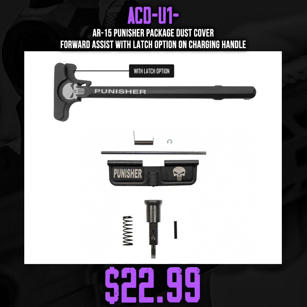 AR-15 PUNISHER Package Dust Cover, Forward Assist with Latch Option on Charging Handle