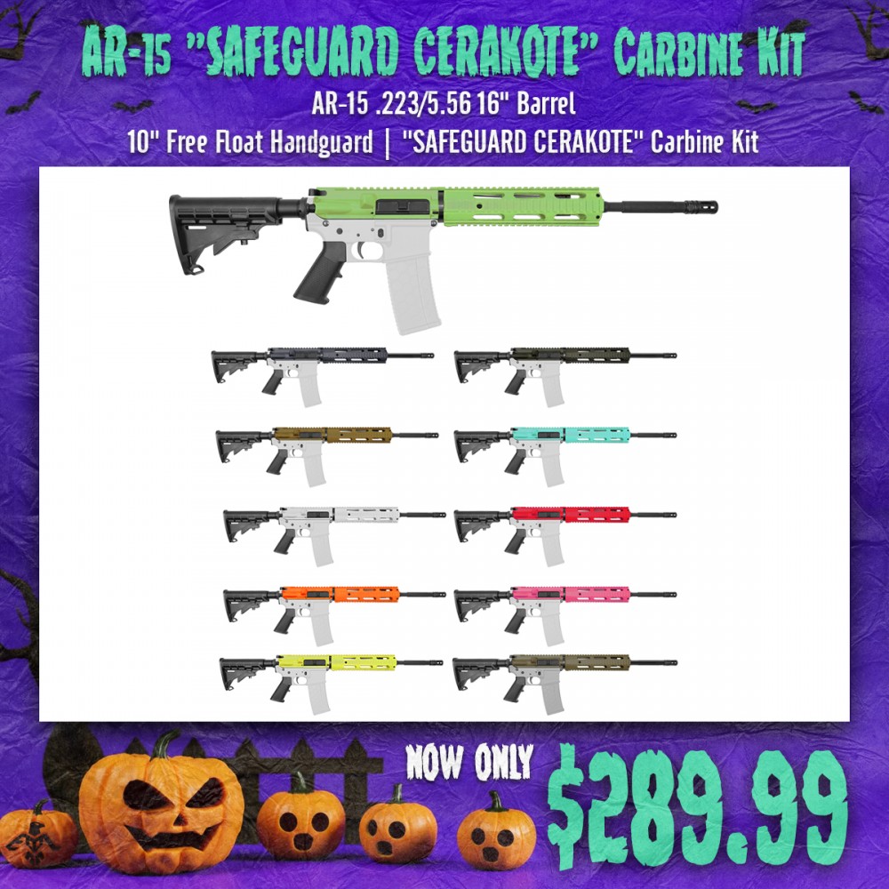 AR-15 .223/5.56 16" Barrel 10" Free Float Handguard | ''SAFEGUARD CERAKOTE'' Carbine Kit