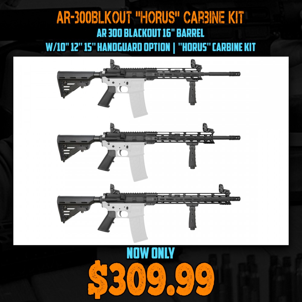 AR 300 Blackout 16'' Barrel W/10'' 12'' 15'' Handguard Option | ''HORUS'' Carbine Kit