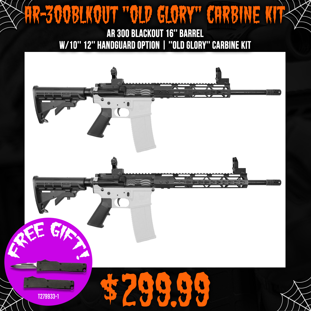 AR 300 Blackout 16'' Barrel W/10'' 12'' Handguard Option | ''OLD GLORY'' Carbine Kit AR 300 Blackout 16'' Barrel W/10'' 12'' Handguard Option | ''OLD GLORY'' Carbine Kit