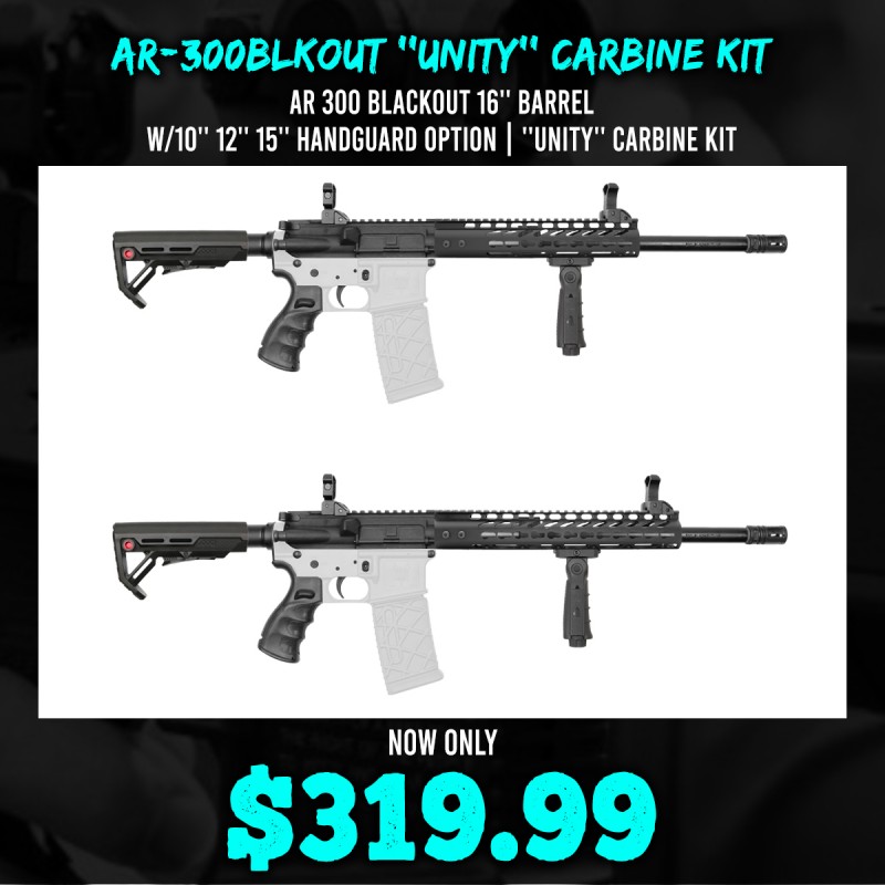 AR 300 Blackout 16'' Barrel W/10'' 12'' 15'' Handguard Option | ''UNITY'' Carbine Kit