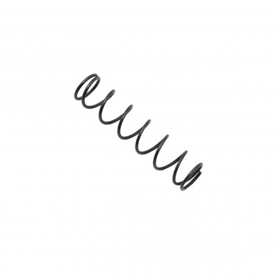 Magazine Catch Spring - Black 100pcs