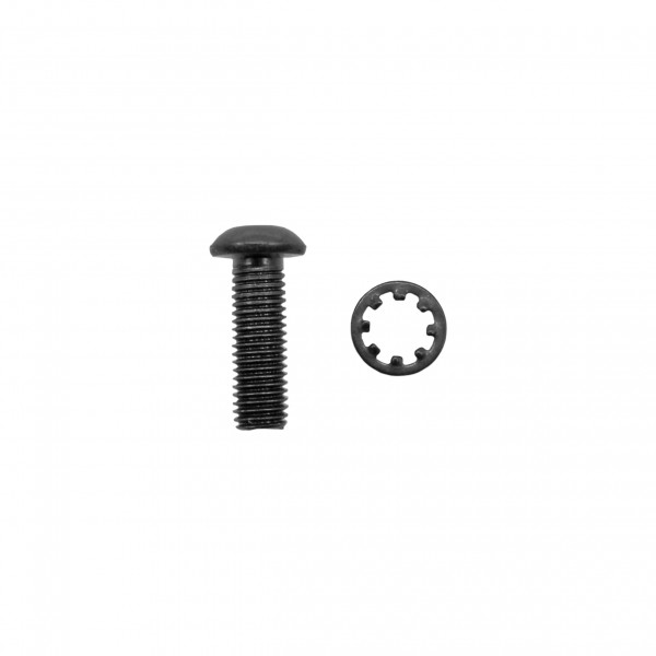 Pistol Grip Screw and Lock Washer