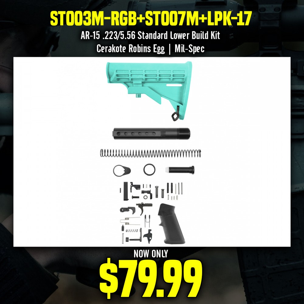 AR-15 .223/5.56 Standard Lower Build Kit - Cerakote Robins Egg| Mil-Spec